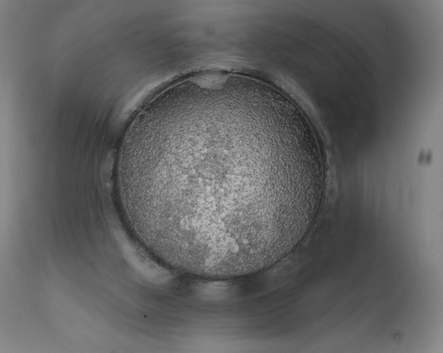 X0000112430058200908281912