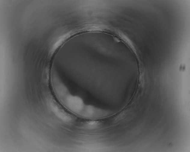 X0000112430059200908281912