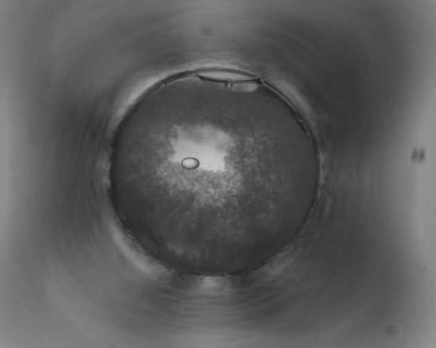 X0000112430060200908281912