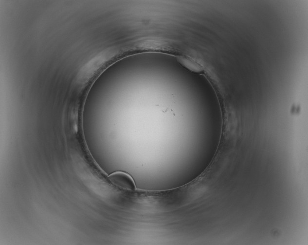 X0000112430062200908281912