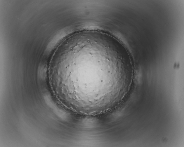 X0000112430063200908281912