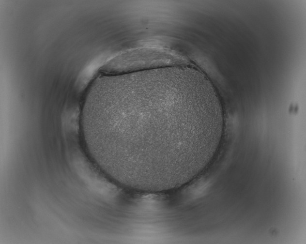 X0000112430064200908281912