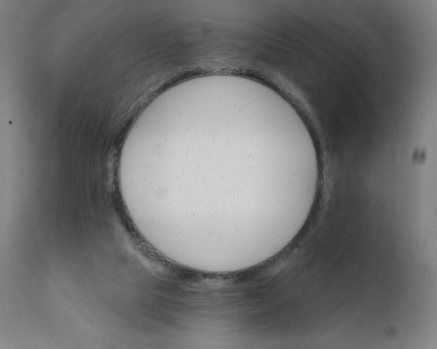 X0000112430065200908281912