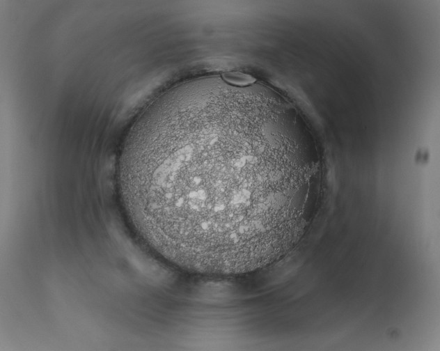 X0000112430066200908281912