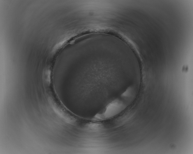 X0000112430067200908281912