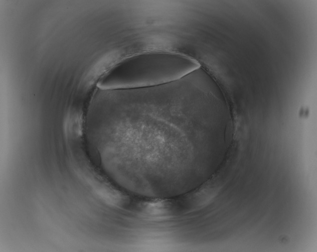 X0000112430068200908281912