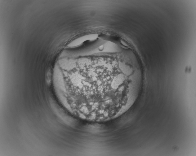 X0000112430069200908281912