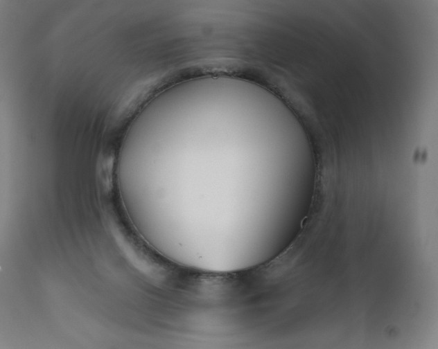 X0000112430070200908281912