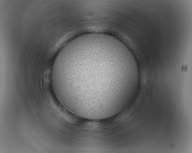 X0000112430071200908281912