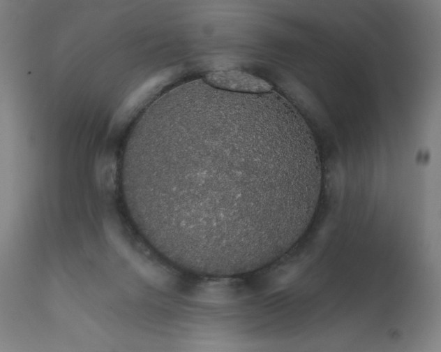 X0000112430072200908281912