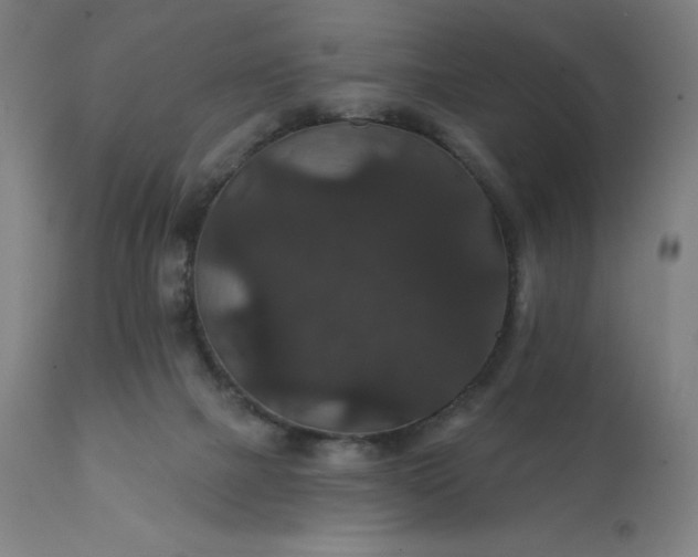 X0000112430073200908281912