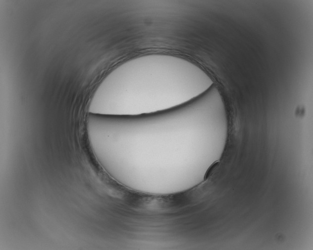 X0000112430074200908281912