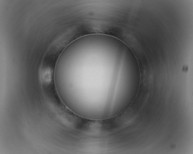 X0000112430075200908281912