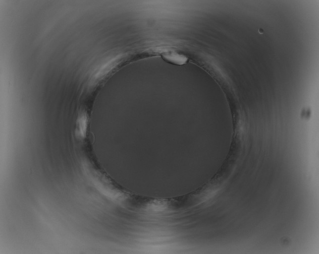 X0000112430076200908281912