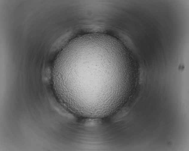 X0000112430077200908281912