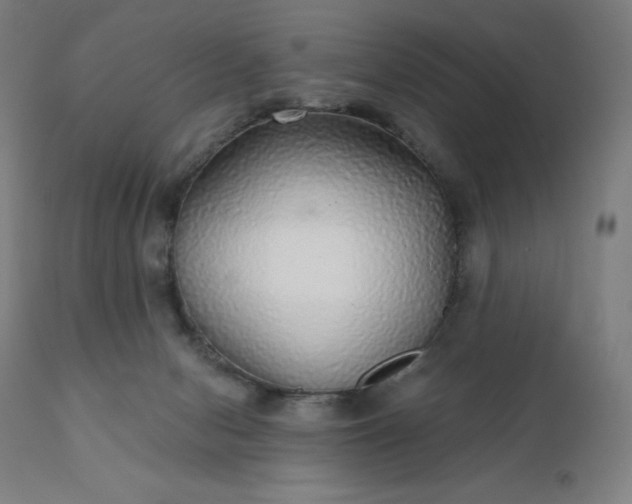 X0000112430078200908281912