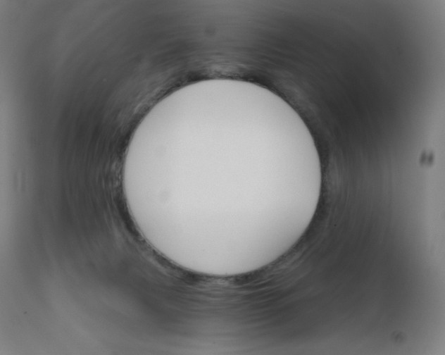 X0000112430079200908281912