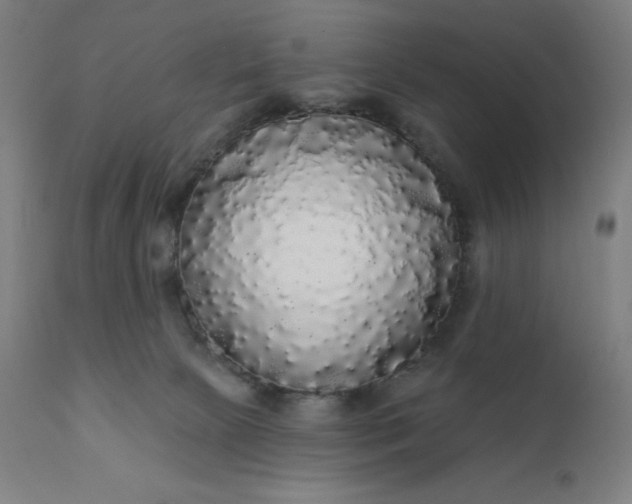 X0000112430081200908281912