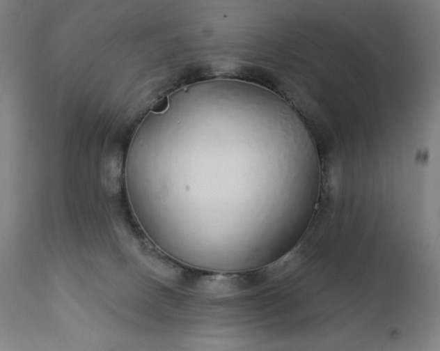 X0000112430082200908281912