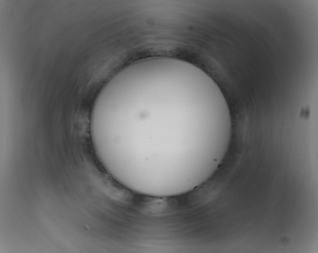 X0000112430083200908281912