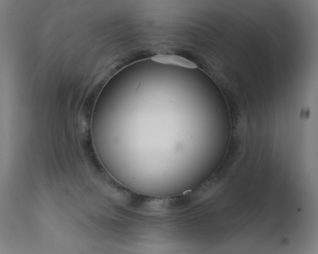 X0000112430084200908281912