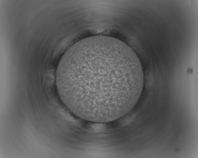 X0000112430085200908281912