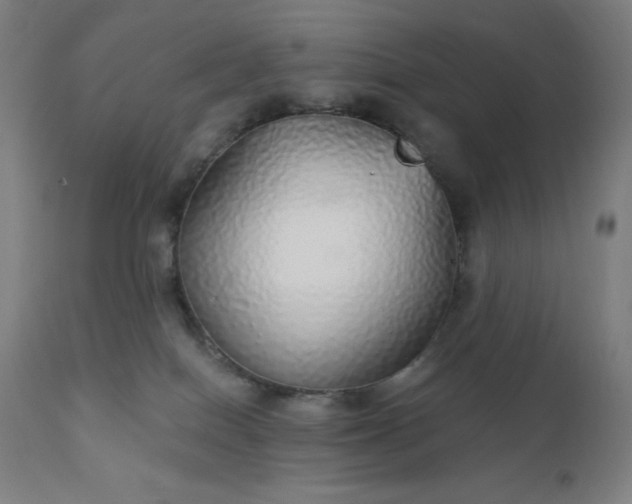 X0000112430086200908281912