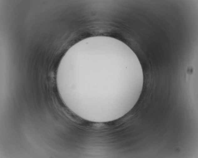 X0000112430087200908281912