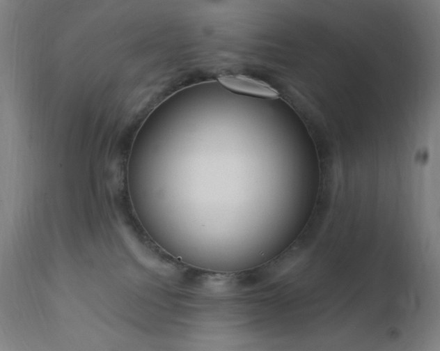 X0000112430088200908281912