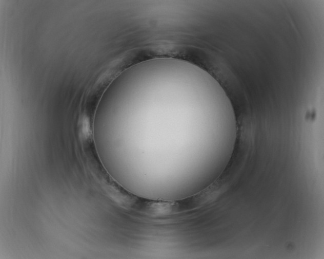 X0000112430089200908281912