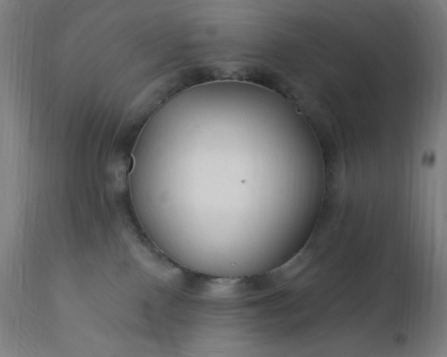 X0000112430090200908281912