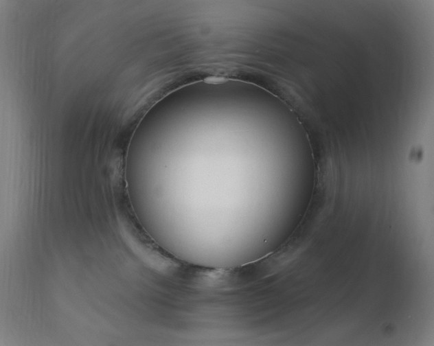 X0000112430092200908281912