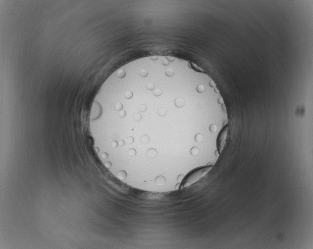 X0000112430093200908281912