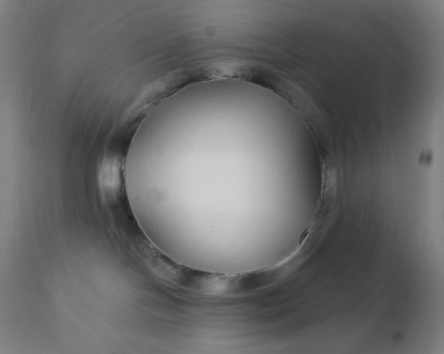 X0000112430094200908281912