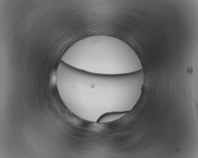 X0000112430095200908281912