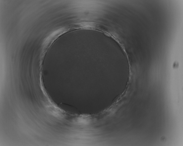 X0000112430097200908281911