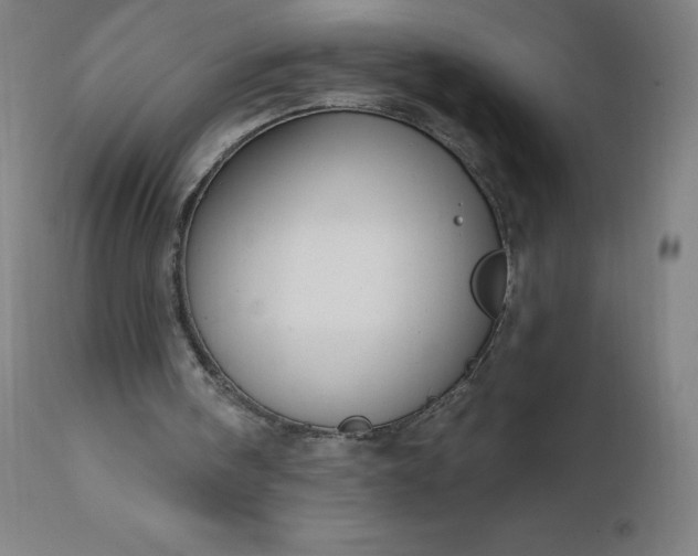 X0000112430098200908281911