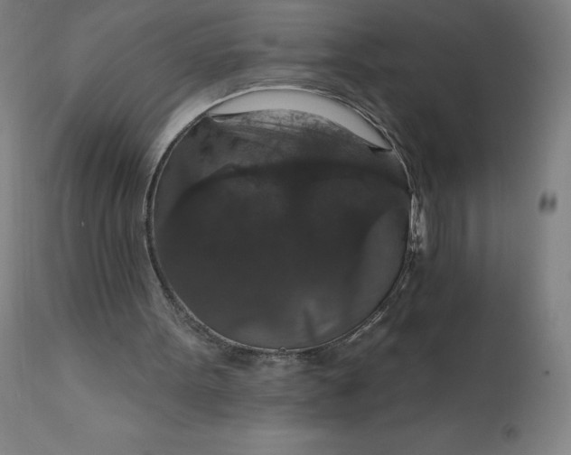 X0000112430099200908281911