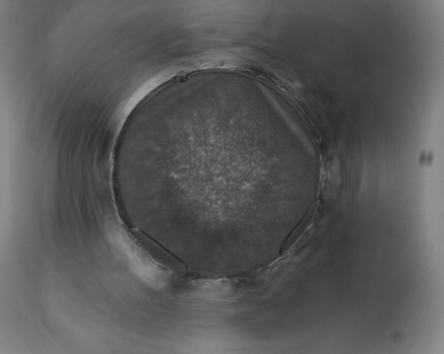 X0000112430100200908281911