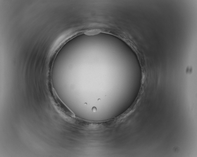 X0000112430101200908281911