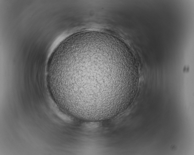 X0000112430102200908281911