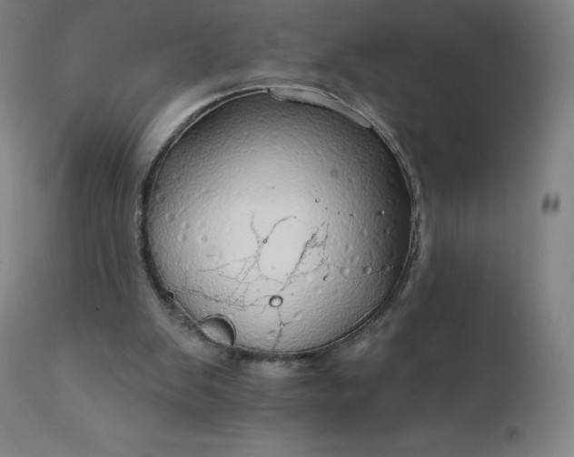 X0000112430103200908281911