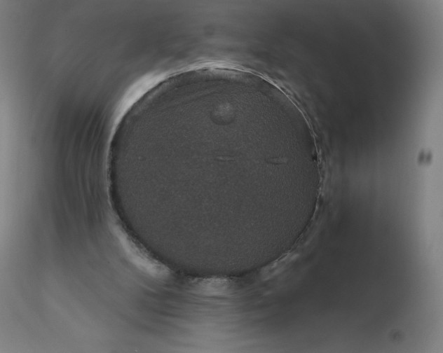 X0000112430104200908281911