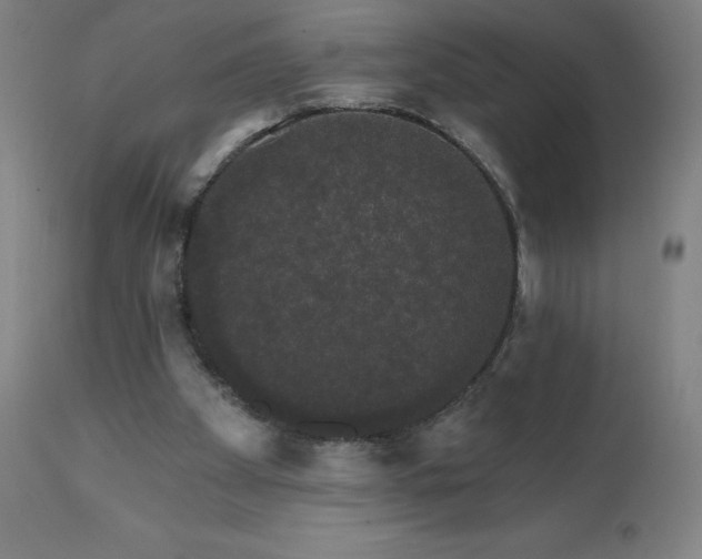 X0000112430105200908281911