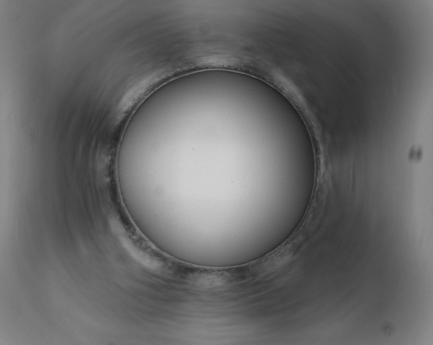 X0000112430106200908281911