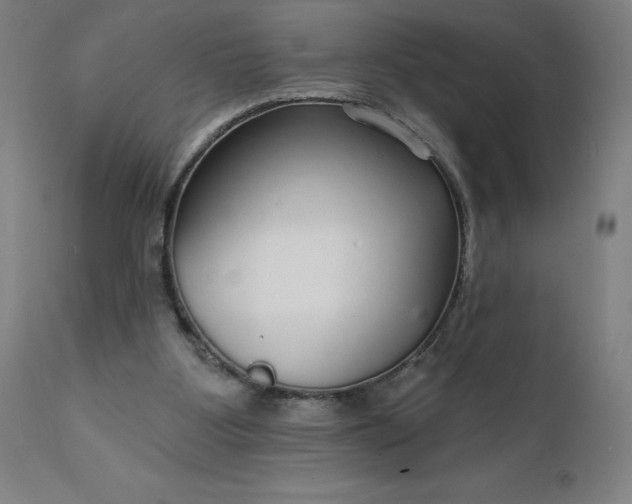 X0000112430107200908281911