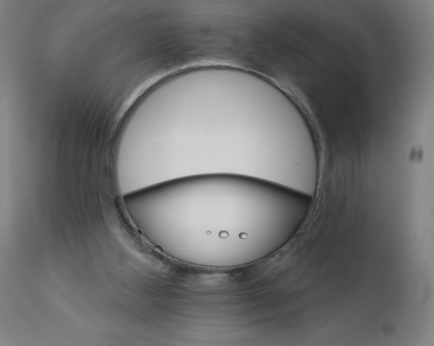 X0000112430108200908281911