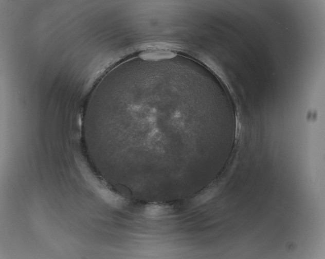 X0000112430109200908281911