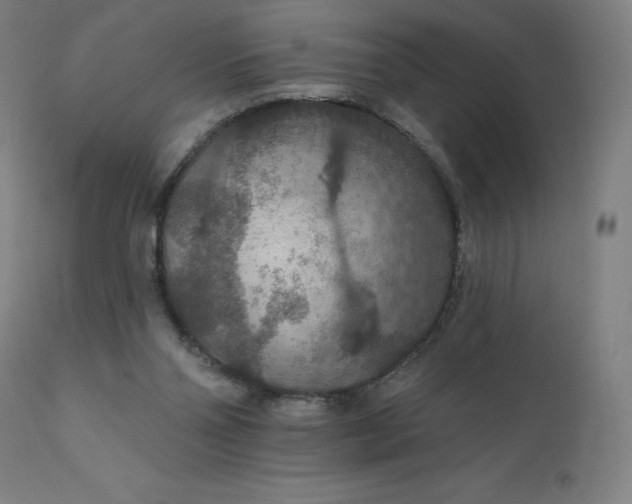 X0000112430110200908281911