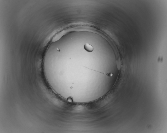 X0000112430111200908281911